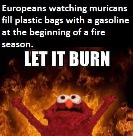 24 Elmo Fire Meme Pictures That Will Make The World Burn