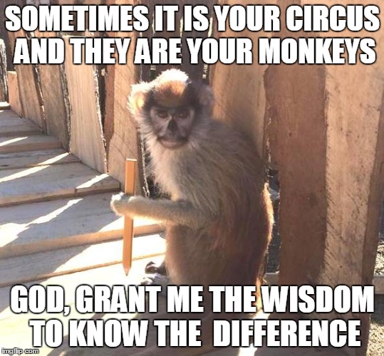 not my circus not my monkeys 