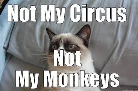 not my circus not my monkeys 