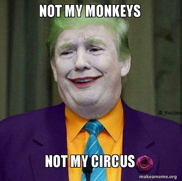 20 Not My Circus Not My Monkeys Meme Examples