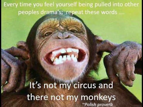 20 Not My Circus Not My Monkeys Meme Examples