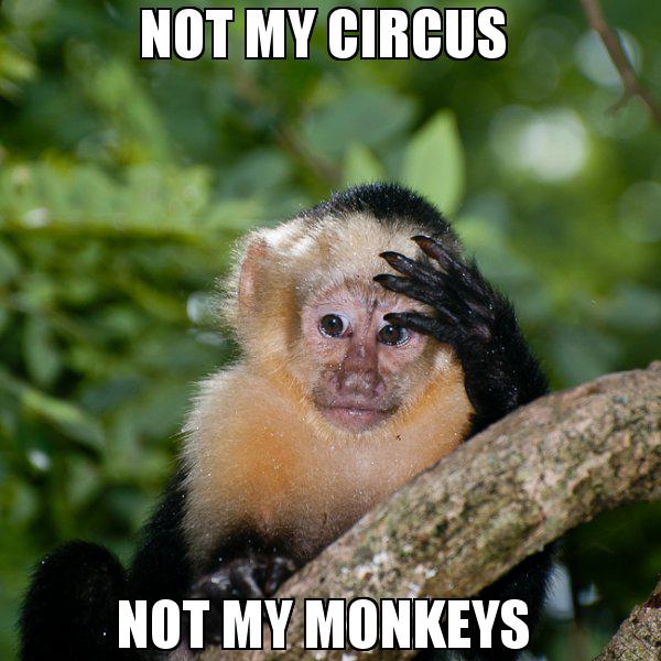 not my circus not my monkeys 