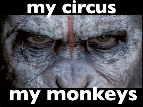 not my circus not my monkeys 