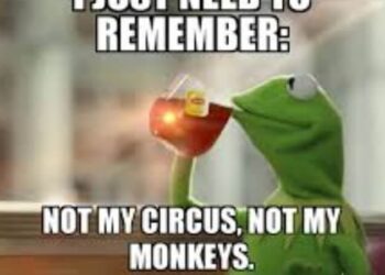 20 Not My Circus Not My Monkeys Meme Examples