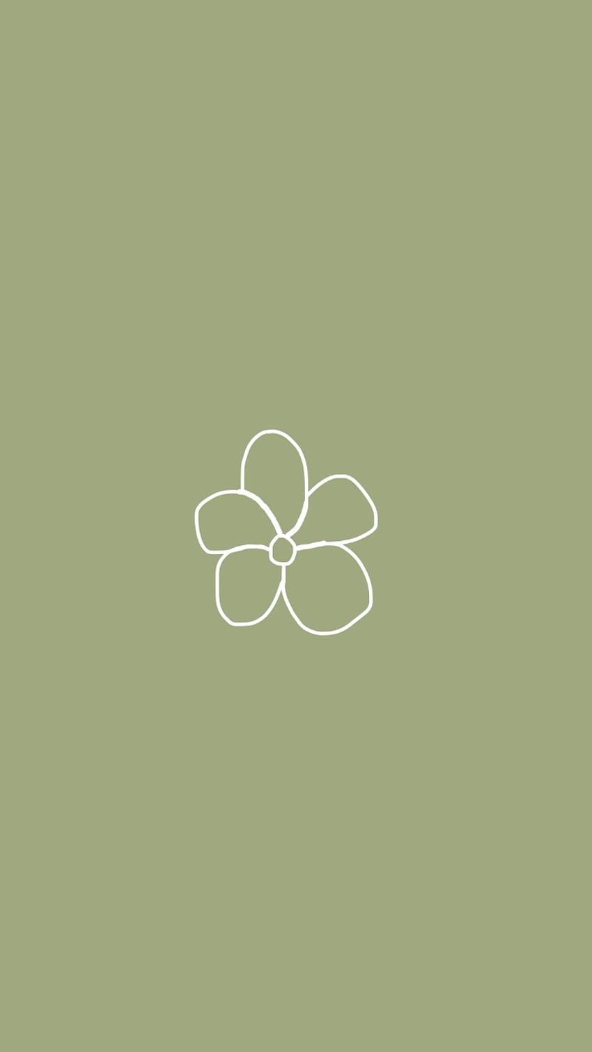 Delicate white flower on sage green background 