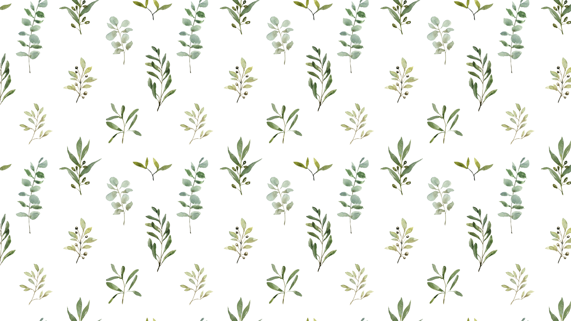 Different type of leaves in green on white background 