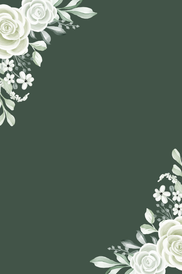 Fancy white roses on sage green background 