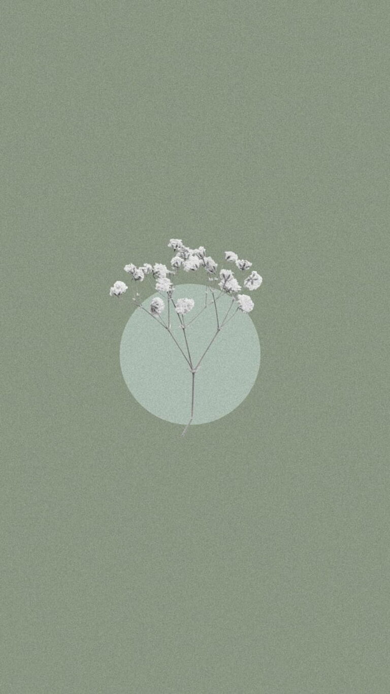 30 Sage Green Aesthetic Wallpaper Ideas You'll Love