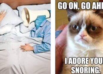 30 Funny Ways to Describe Snoring – Snoring Memes Collection