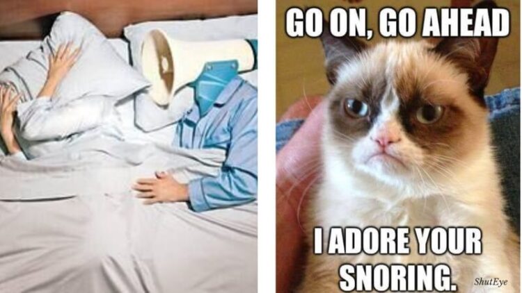 30 Funny Ways to Describe Snoring – Snoring Memes Collection