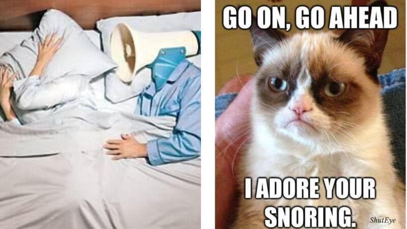 30 Funny Ways to Describe Snoring - Snoring Memes Collection