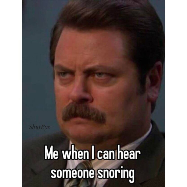 30 Funny Ways to Describe Snoring - Snoring Memes Collection