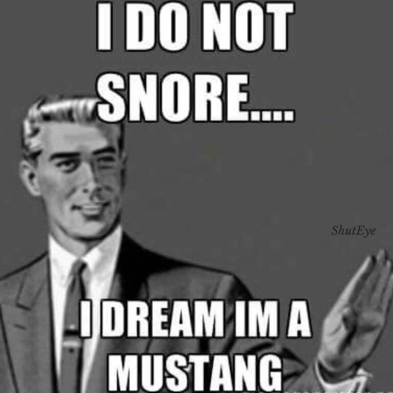 30 Funny Ways to Describe Snoring - Snoring Memes Collection