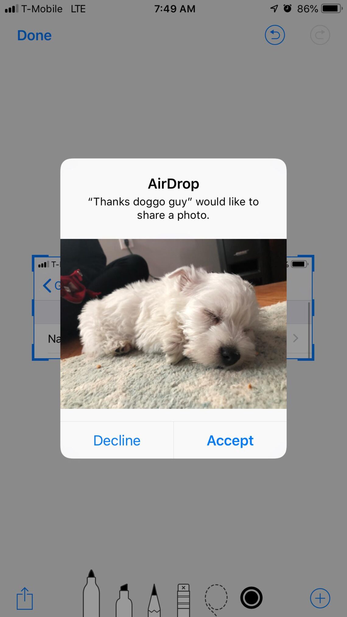 55 Funny Pictures to AirDrop