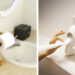 52 Funny Toilet Paper Holders to Pass Some Time While You Go