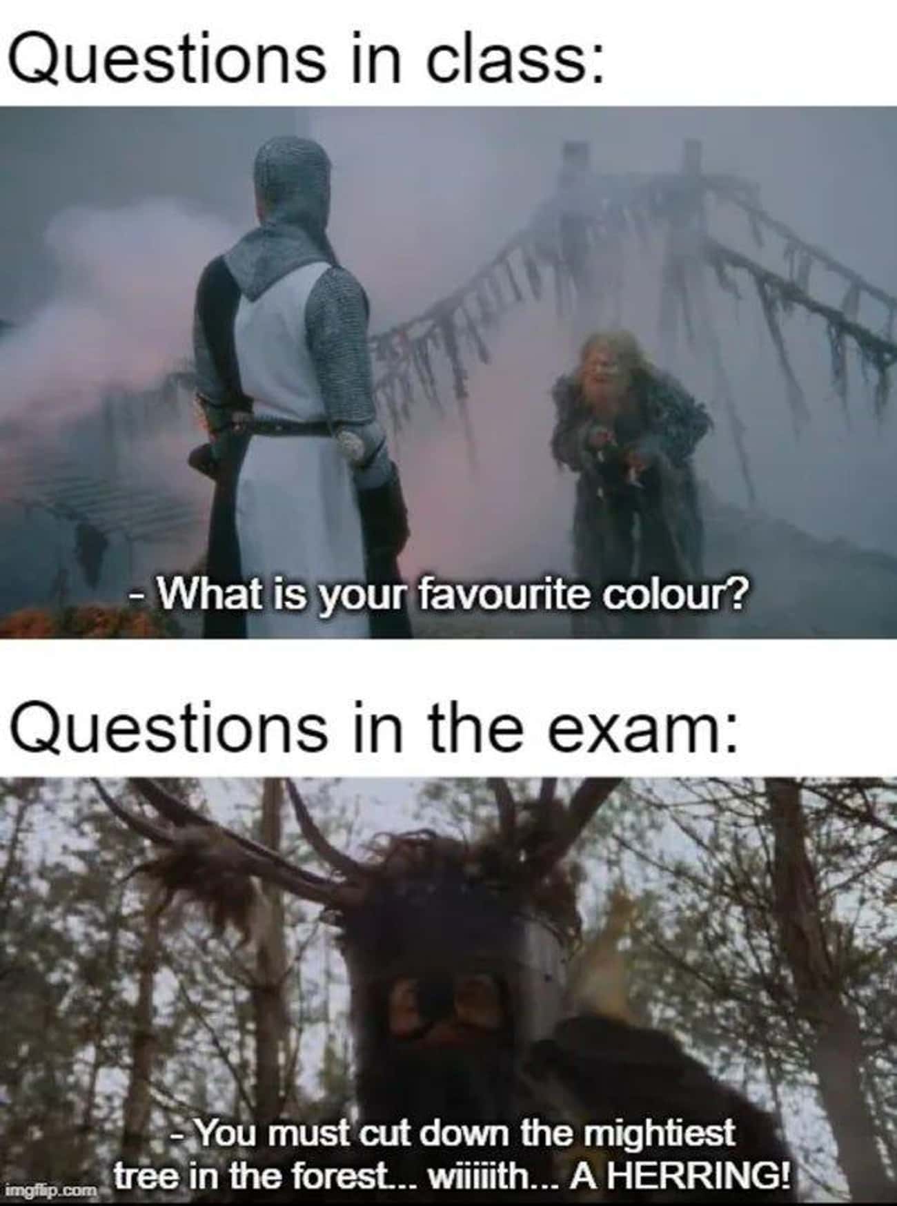 monty python and the holy grail memes
