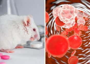 Is This the End of Aging? Scientists Uncover a Fountain of Youth Within Your Body