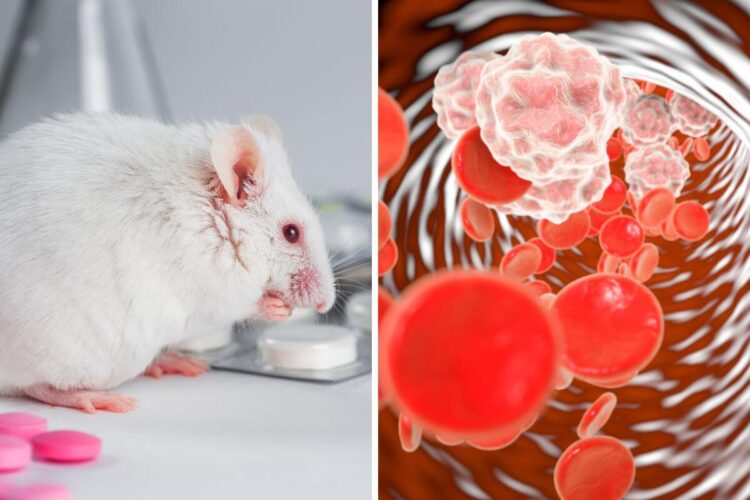 Is This the End of Aging? Scientists Uncover a Fountain of Youth Within Your Body