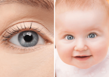 Every blue-eyed person is a descendant of one single human