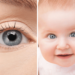 Every blue-eyed person is a descendant of one single human