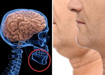 Jaw-Dropping Discovery. The Real Reason Humans Have Chins. It’s Not What You Think!