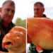 Giant Goldfish: A Splash of Unexpected Size
