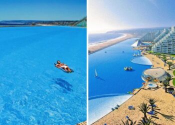 Dive into the World’s Largest Swimming Pool. The Enormous Allure of San Alfonso del Mar