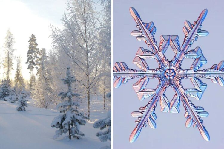 Biggest snowflake ever reported was the size of a large pizza