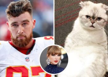Taylor Swift’s cat ‘has a higher net worth’ than boyfriend Travis Kelce