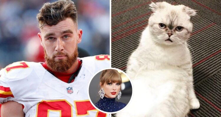 Taylor Swift’s cat ‘has a higher net worth’ than boyfriend Travis Kelce