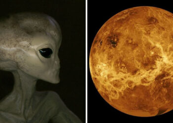 Earth 2.0 Found? Venus Clouds May Harbor Life, But With a Major Twist