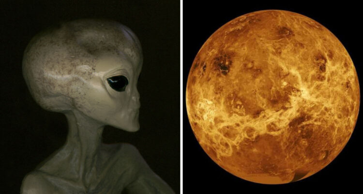 Earth 2.0 Found? Venus Clouds May Harbor Life, But With a Major Twist