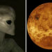 Earth 2.0 Found? Venus Clouds May Harbor Life, But With a Major Twist