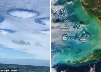 Florida’s Latest Phenomenon Has Everyone Looking Up! Stunning Cloud Holes Explained