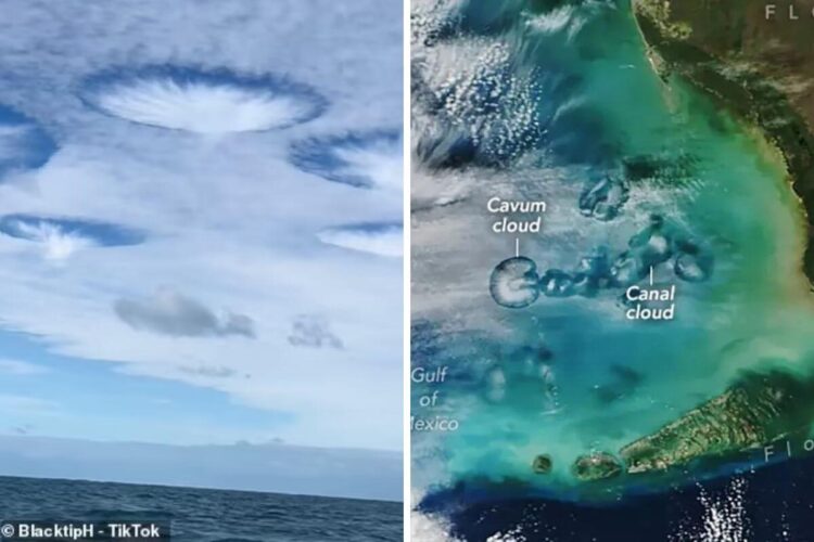 Florida’s Latest Phenomenon Has Everyone Looking Up! Stunning Cloud Holes Explained