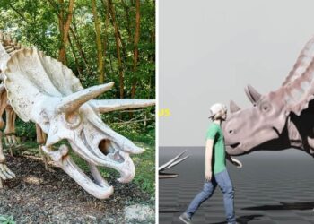 People are Shocked to Learn the REAL Size of Dinosaurs in This Video Comparison