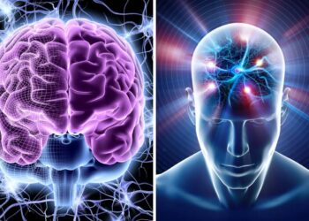 Human brains are getting larger. That may be good news for dementia risk