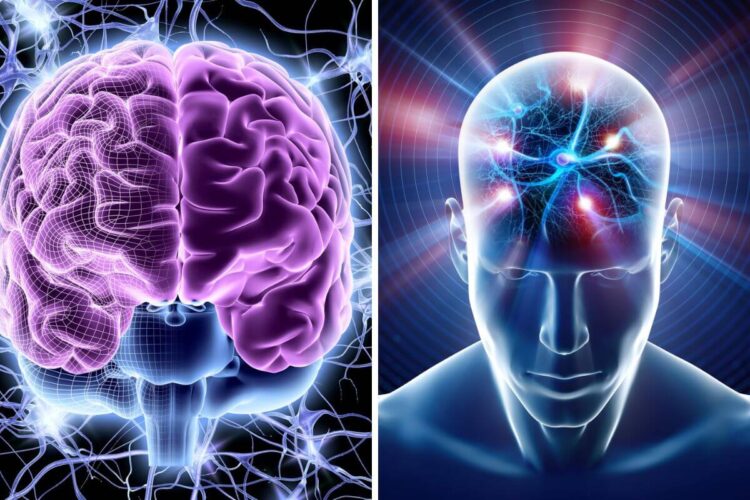 Human brains are getting larger. That may be good news for dementia risk