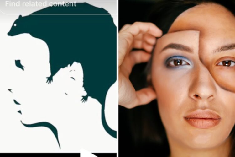 This TikTok Illusion Reveals Your DEEPEST Fear. What do you see first?