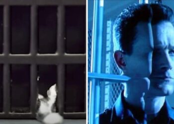 Terminator in a Bottle? Scientists Create Liquid Metal Robot That Escapes Cage