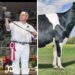 Holy Holstein! Canadian Cow Makes History with Record-Breaking Price Tag