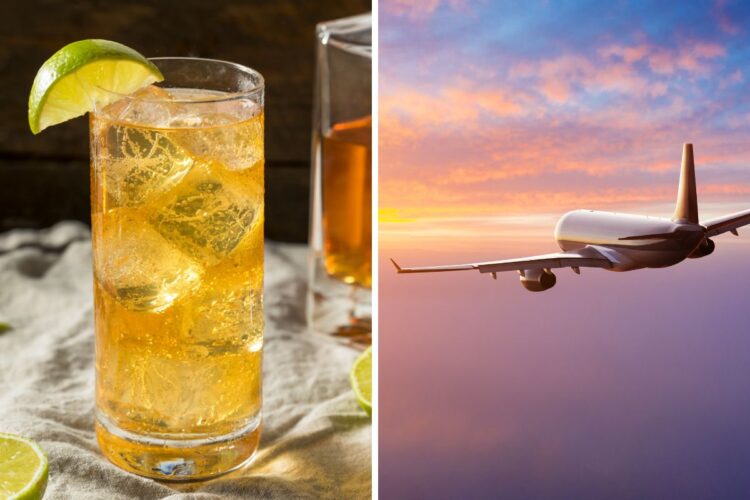 Secret Weapon for Smooth Flights: Why Ginger Ale is the Ultimate Airplane Drink