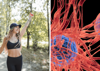 Cancer Breakthrough: Scientists Discover “Undo Button” for Tumors!