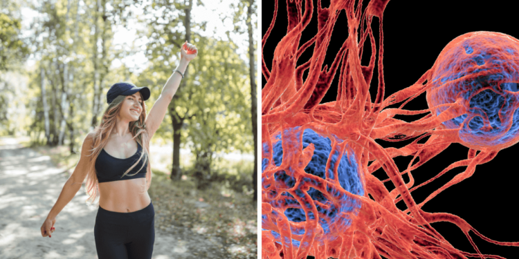 Cancer Breakthrough: Scientists Discover “Undo Button” for Tumors!